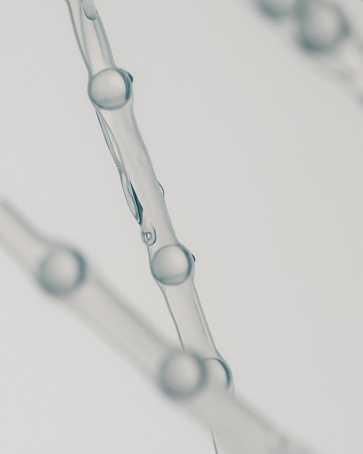 C'est quoi un tribiotique ?