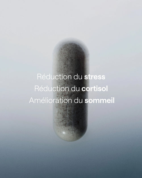 Calm My Mind